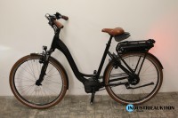 E-Bike (Pedelec), Riese&amp;Müller Swing Vario