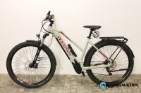 E-Bike (Pedelec) Axess Force WS 29 Allroad