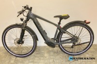 E-Bike (Pedelec) BULLS Cross Flyer EVO