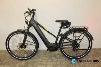 E-Bike (Pedelec) Pegasus Savino EVO 5R Performa