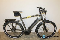 E-Bike (Pedelec) Raleigh Bristol Herren