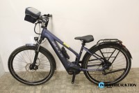 E-Bike(Pedelec) BULLS Landscape Evo