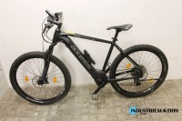 E-Bike(Pedelec) Axess Element 29